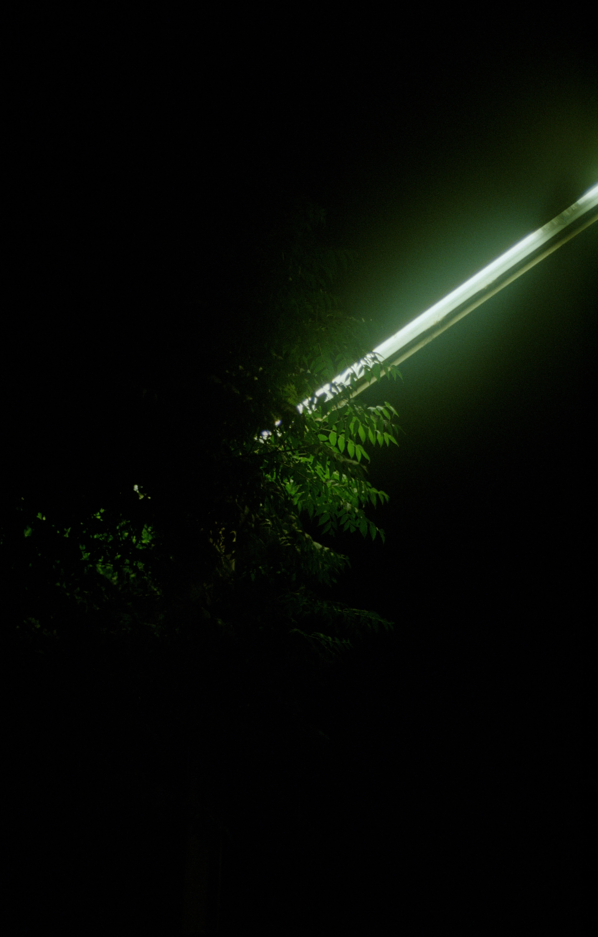 DSCF0672.jpg
