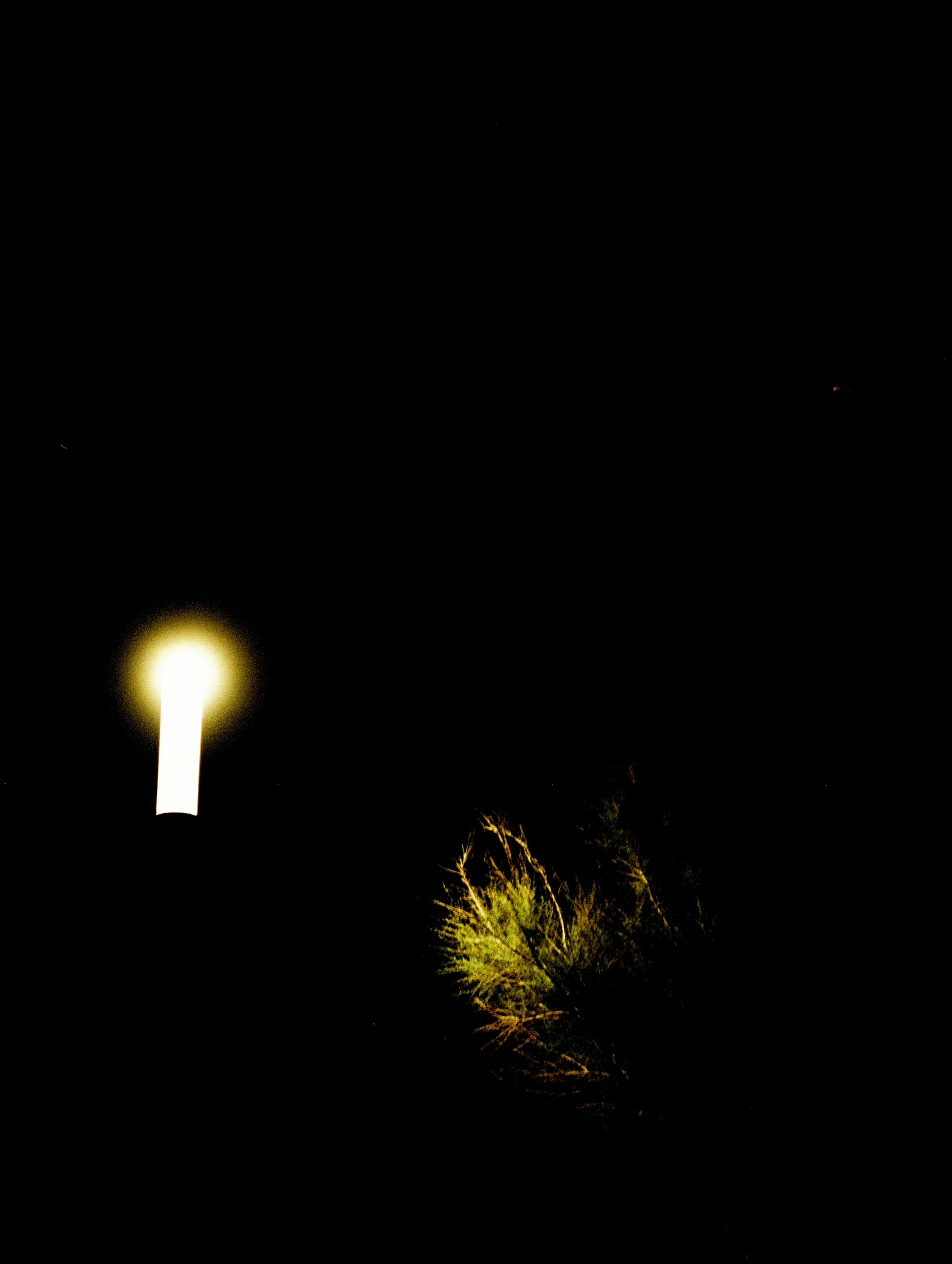 DSCF0672.jpg
