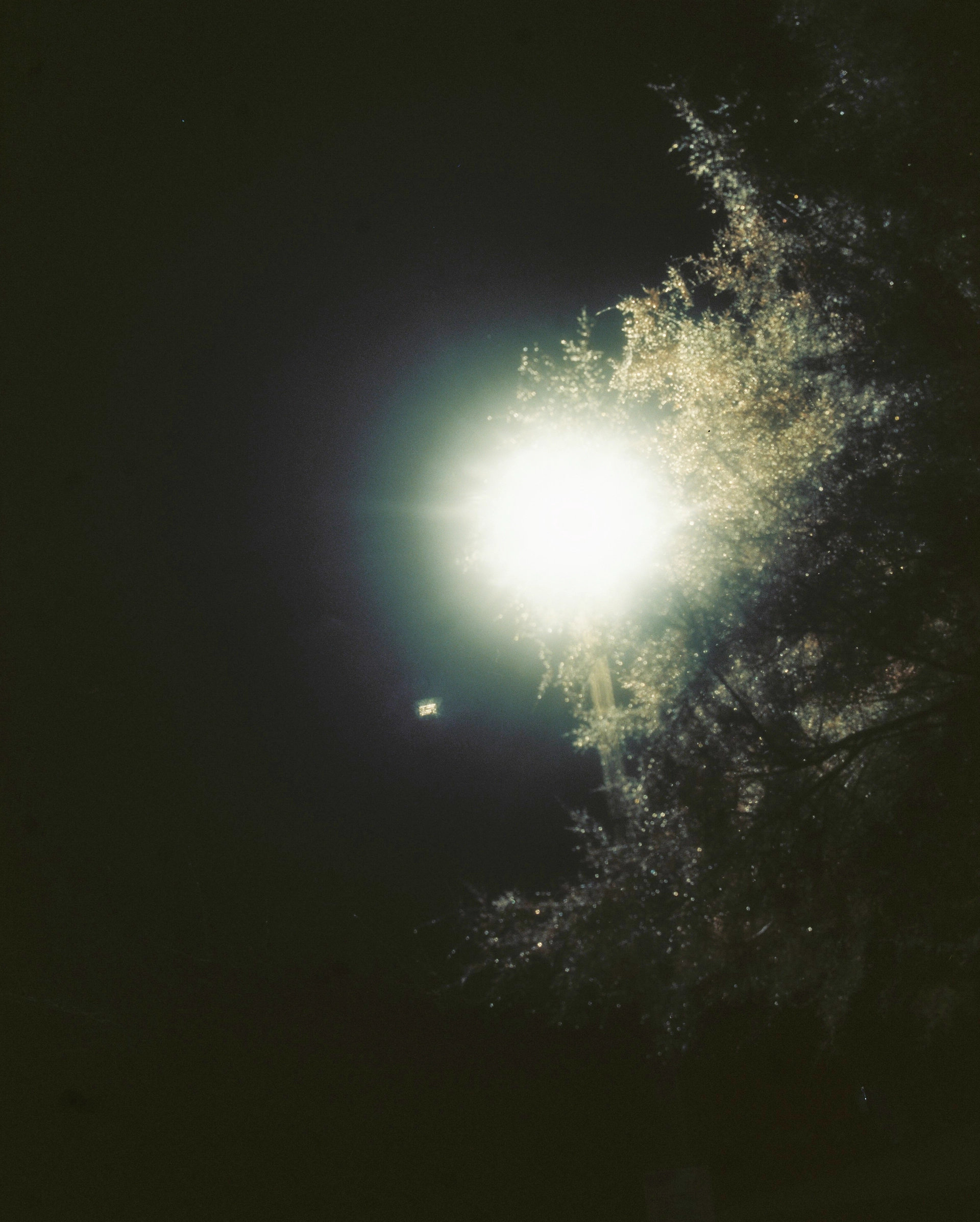 DSCF0672.jpg